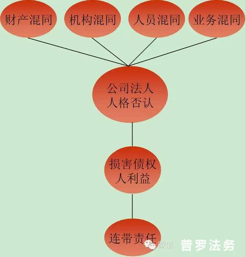 法人人格否认制度.jpg