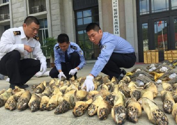 深圳刑事辩护律师走私罪.jpg