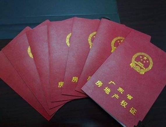 深圳律师.jpg